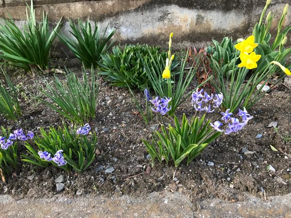 rblog-20180325184635-05.jpg