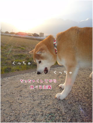 0101パンちゃんと2.jpg