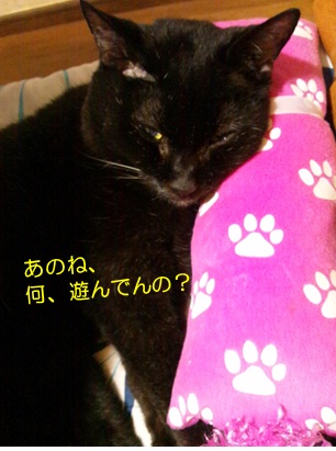 20120722_3.jpg