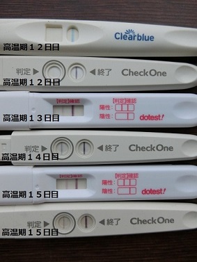 妊娠した周期 妊娠検査薬の反応 トーコ３9歳 女の子のママになりたい 楽天ブログ
