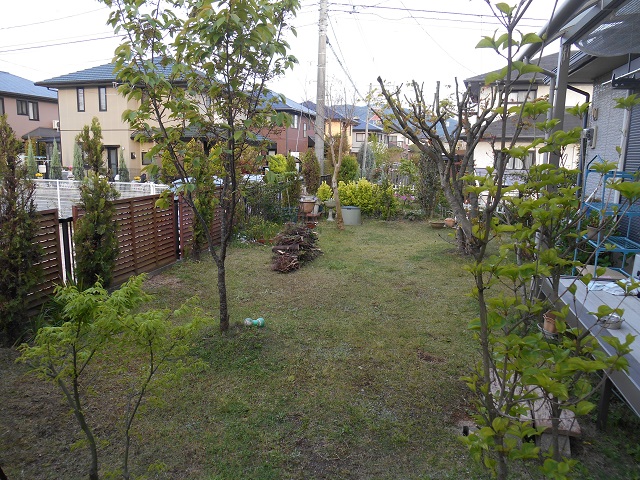 DSCN1569.JPG
