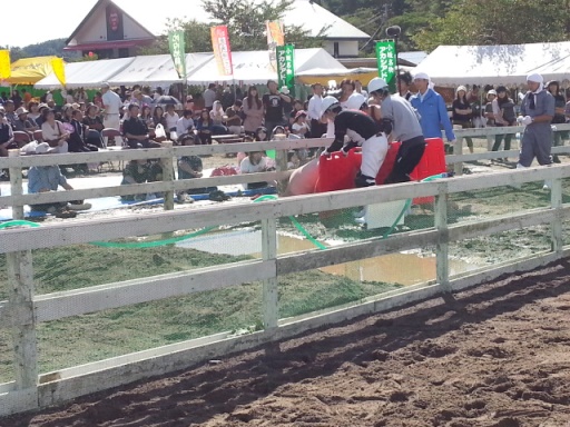 20130922_135328.jpg
