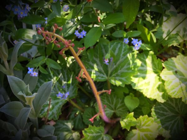 rblog-20160430181122-09.jpg