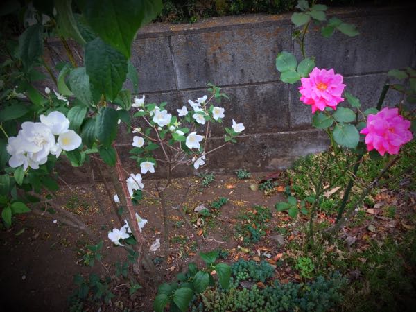 rblog-20160528225139-02.jpg