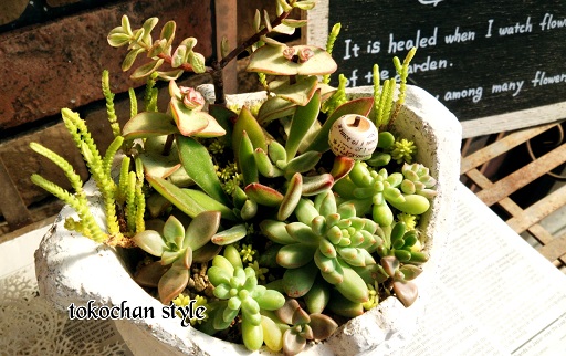 2014-10-15-11-12-50_deco.jpg