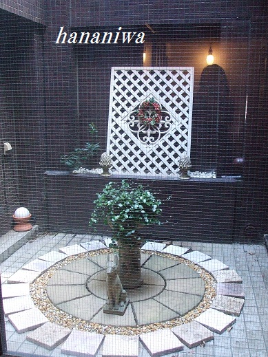 玄関先コートヤード１２０３２９.JPG