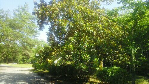 rblog-20180609190844-04.jpg