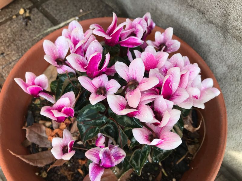 rblog-20190401164627-03.jpg