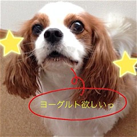 rblog-20140904141930-00.jpg