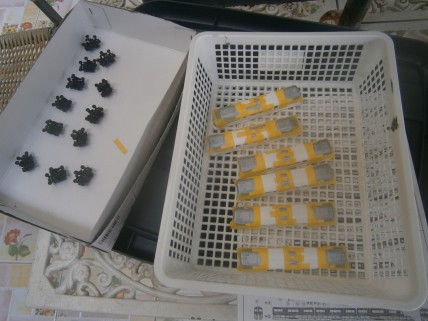 sP5230014.JPG