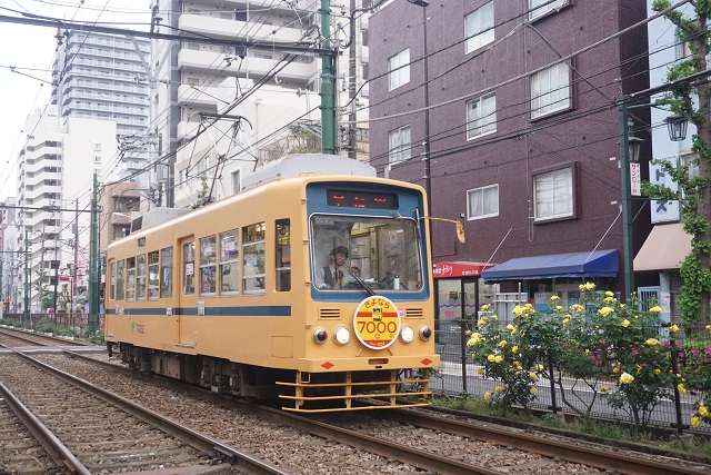 都電 7000形 & 9000形 薔薇の香りの 町屋駅前～町屋二丁目4