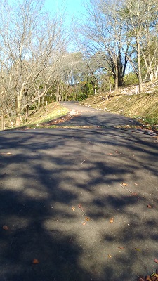 左側の車道