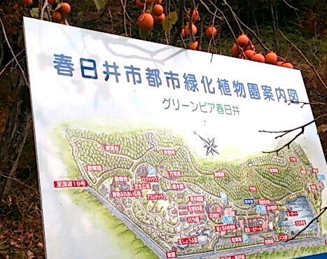 グリーンピア春日井
