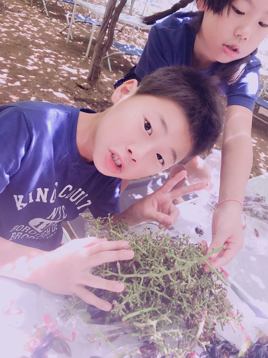rblog-20180821012403-02.jpg