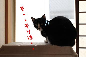 IMG_0141３.JPG
