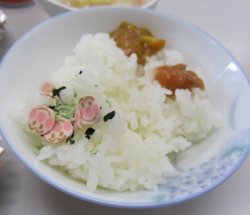 防災食の試食