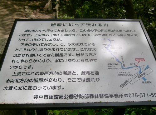 023 (500x368).jpg