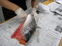 Photo_3