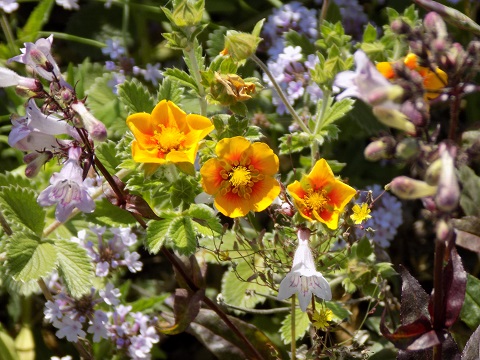 DSCN2205.JPG