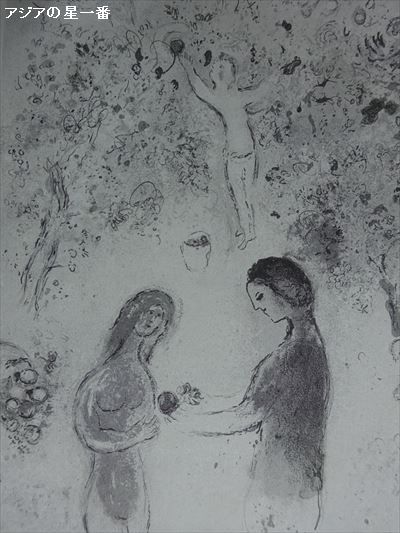 20160508 徳島 阿波踊り9