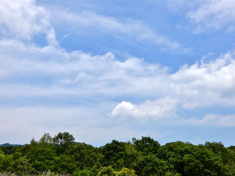 空4
