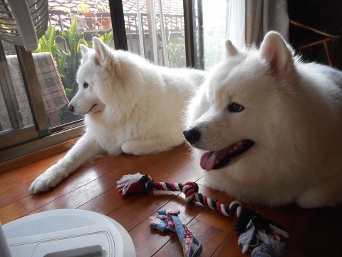 DSCN0567.JPG