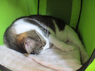 IMG_7863ss.jpg