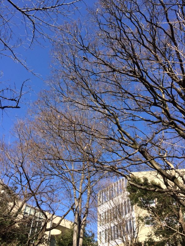 rblog-20180106155649-00.jpg
