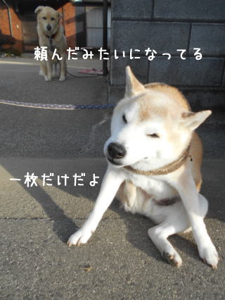 1228トム3.jpg
