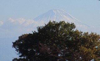 IMG_2982ss.jpg