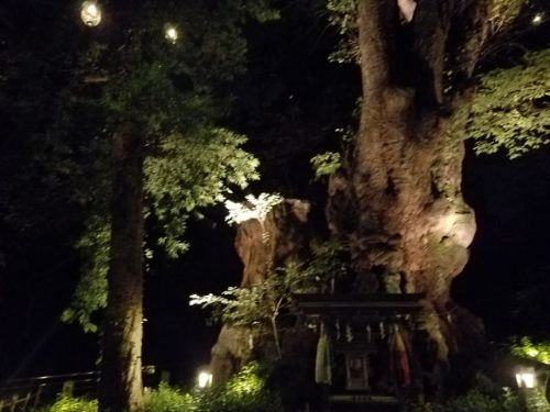 rblog-20181203085315-04.jpg