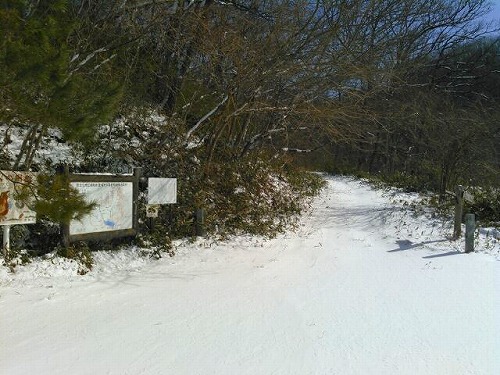 20150214七ツ森遂倉山遊歩道森の中へ.jpg