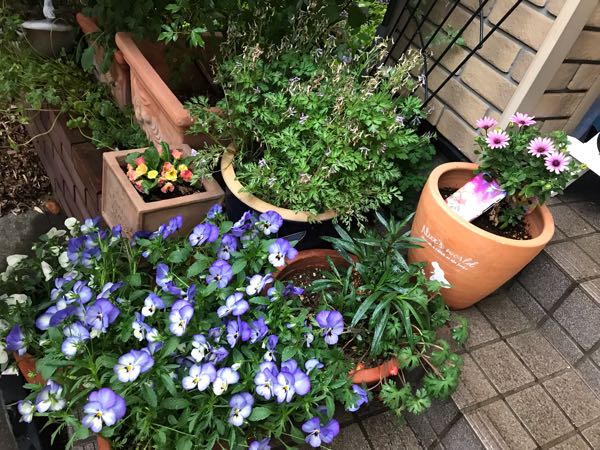 rblog-20190419194830-03.jpg