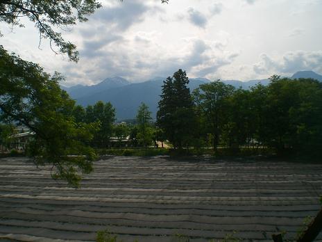 わさび田