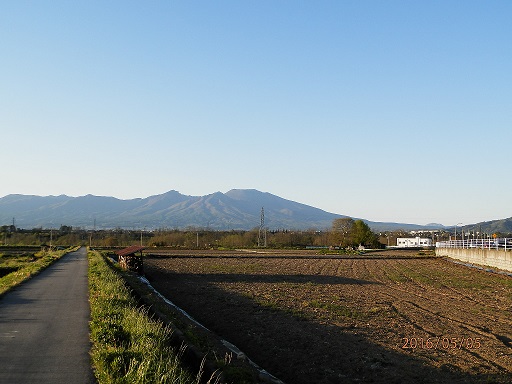 P5050107.jpg