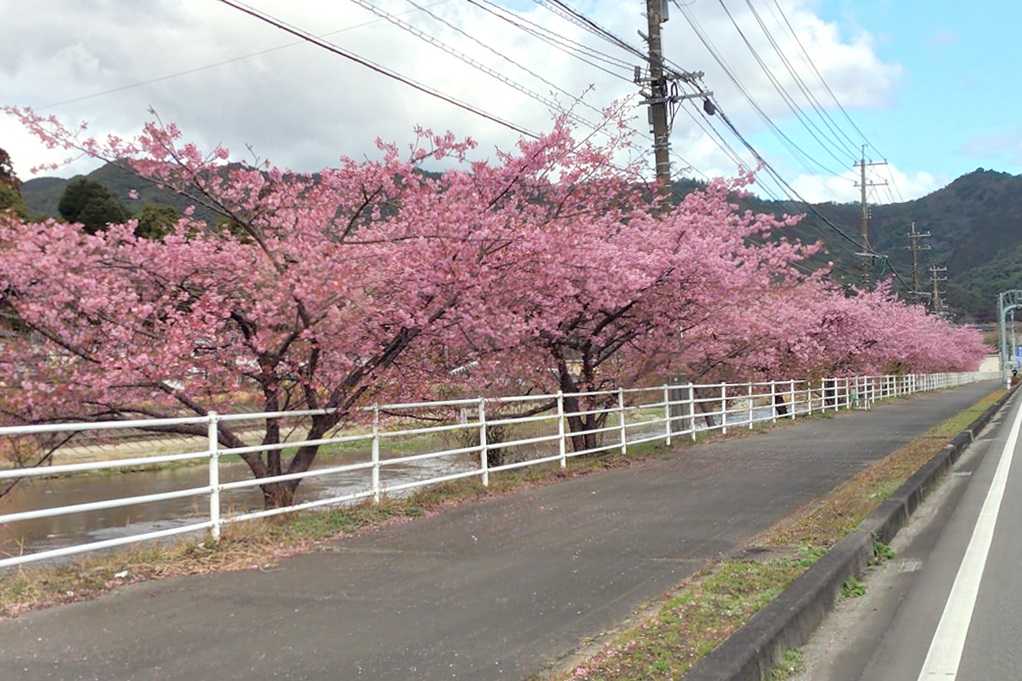 515