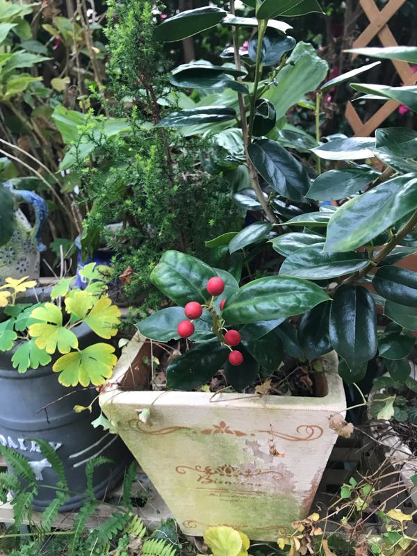 rblog-20181203161122-09.jpg