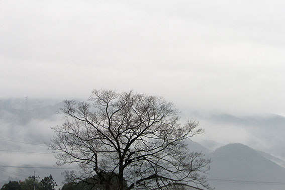 高越山2015/3/16-1