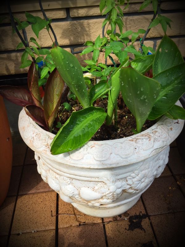 rblog-20160426005035-05.jpg