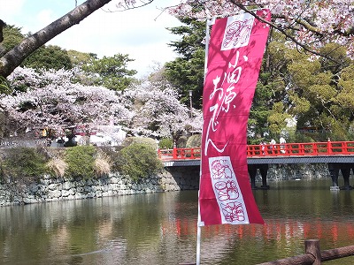 20140406小田原おでん