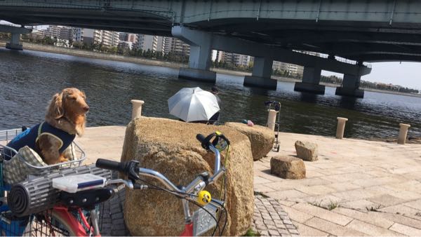 rblog-20180410173038-01.jpg