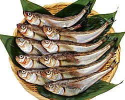 ハタハタ