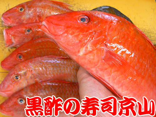 江東区　寿司　出前　永代.jpg