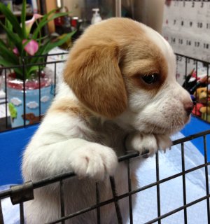 20140419 脱出しちゃおうかな？