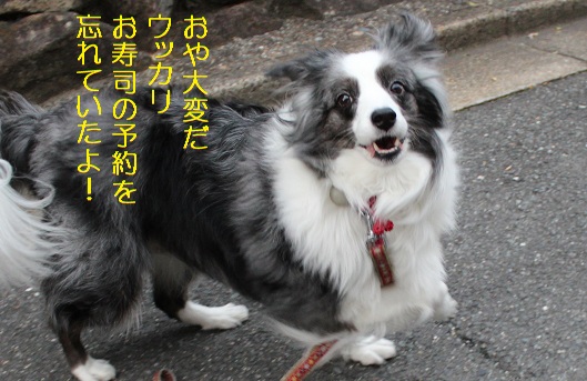 お寿司