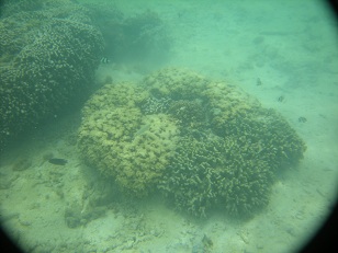 DSCN1510.JPG