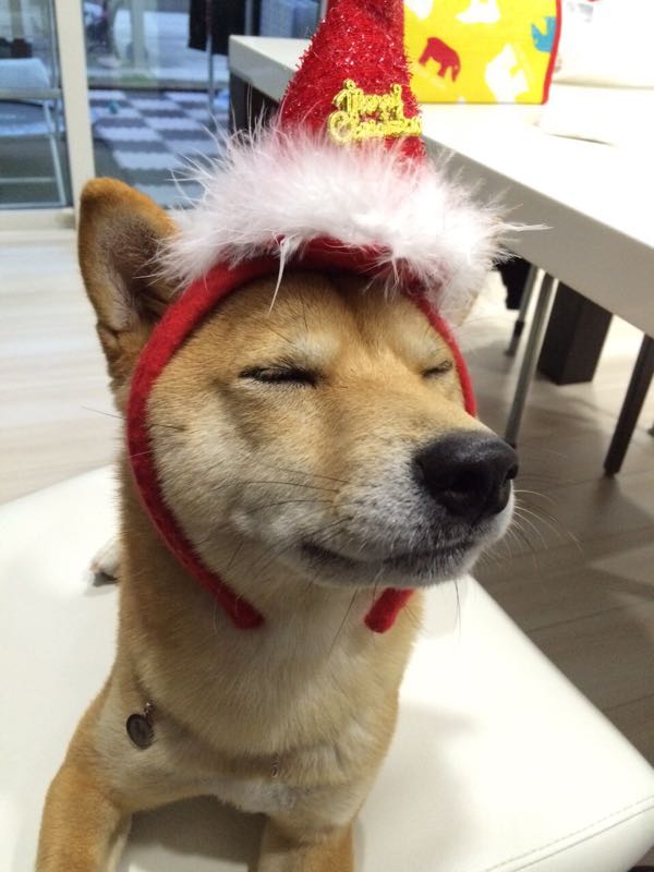 rblog-20151209083149-03.jpg