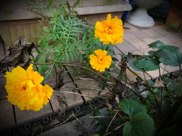 rblog-20161128165148-06.jpg