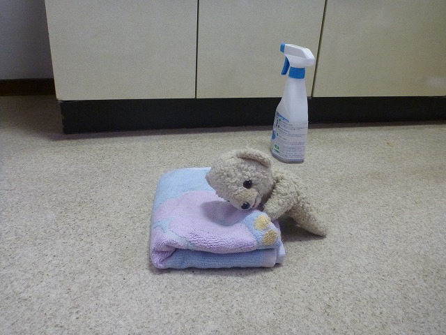 P1100674.jpg