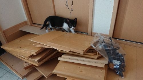 rblog-20180625125541-01.jpg